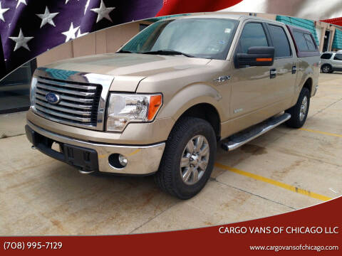 2012 Ford F-150 for sale at Cargo Vans of Chicago LLC in Bradley IL