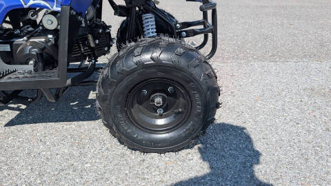 2025 TrailMaster Mini 110 Sport