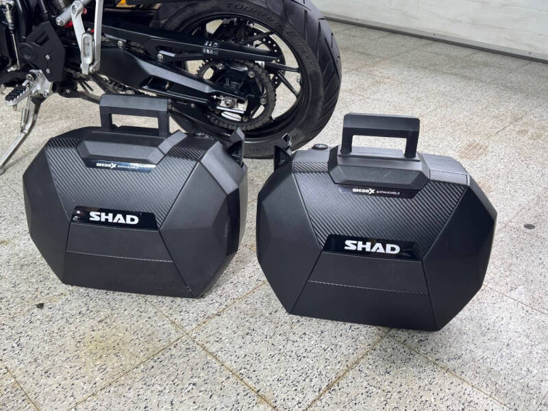 2024 Triumph Tiger 900 GT Pro