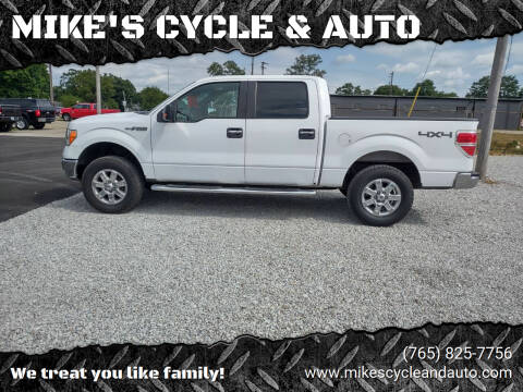 2014 Ford F-150 for sale at MIKE'S CYCLE & AUTO in Connersville IN