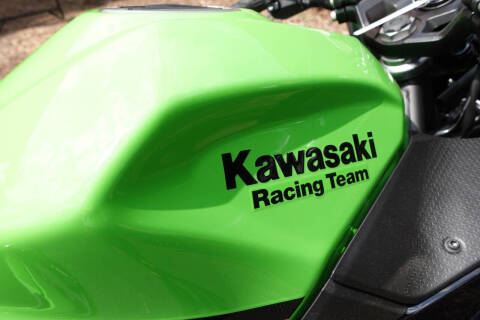 2025 Kawasaki Ninja 500