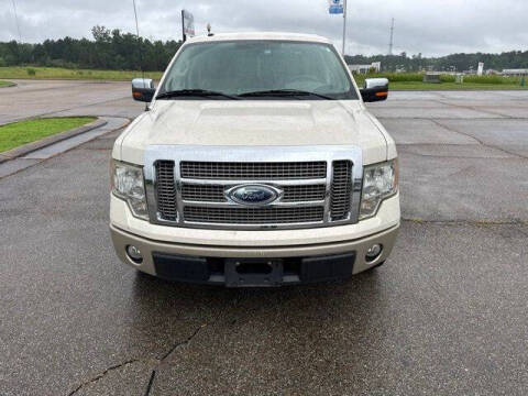 2009 Ford F-150