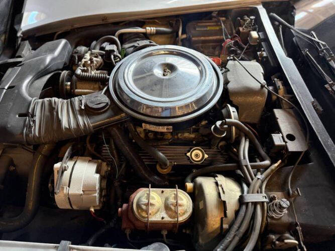 1981 Chevrolet Corvette