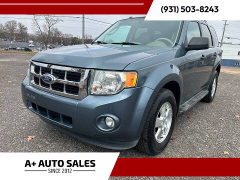 2011 Ford Escape XLT
