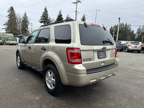 2010 Ford Escape XLT