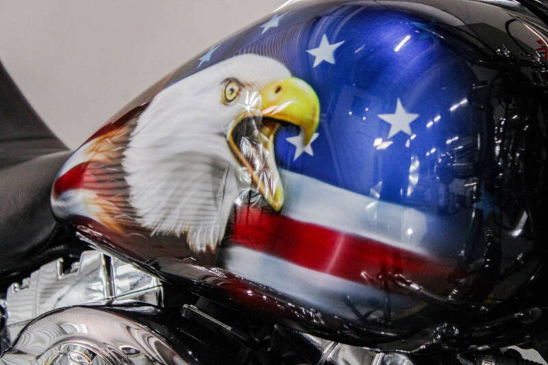 2007 Harley-Davidson Softail Custom