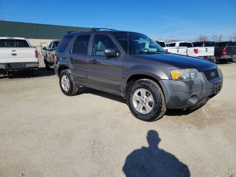 2005 Ford Escape for sale at Frieling Auto Sales in Manhattan KS