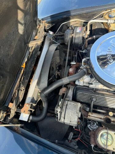 1981 Chevrolet Corvette