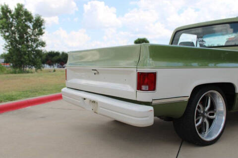 1981 Chevrolet C/K 10 Series