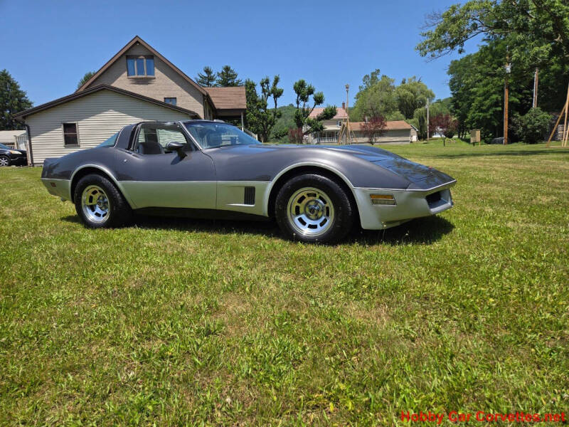1981 Chevrolet Corvette