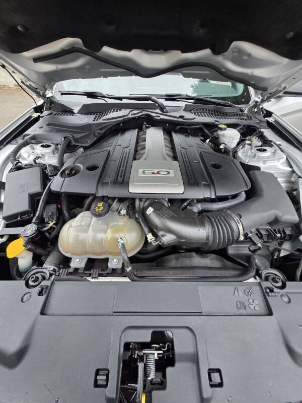 2019 Ford Mustang GT Premium