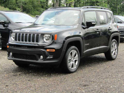 2023 Jeep Renegade for sale at Brunswick Auto Mart in Brunswick OH