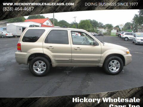2007 Ford Escape for sale at Hickory Wholesale Cars Inc in Newton NC