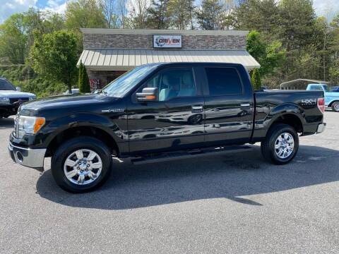 2011 Ford F-150 for sale at Driven Pre-Owned in Lenoir NC