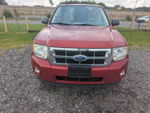 2011 Ford Escape XLT