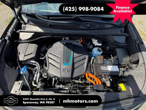 2019 Kia Niro EV EX