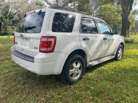 2010 Ford Escape XLT