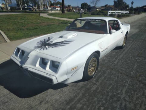 1979 Pontiac Trans Am for sale at Classic Car Deals in Cadillac MI