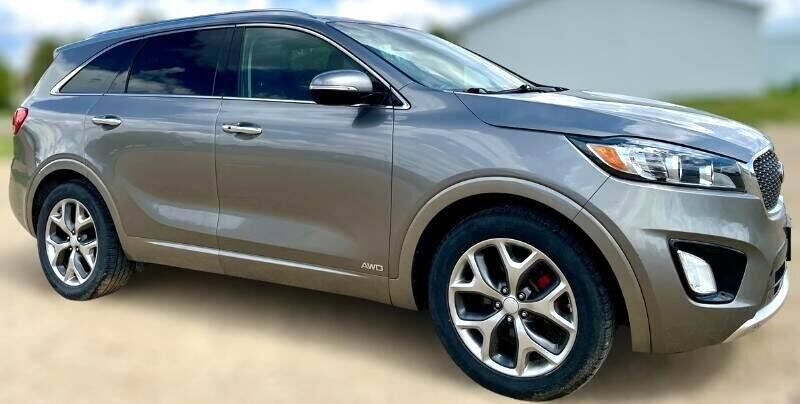 2017 Kia Sorento for sale at Top Gear Auto Sales LLC in Le Roy, MN