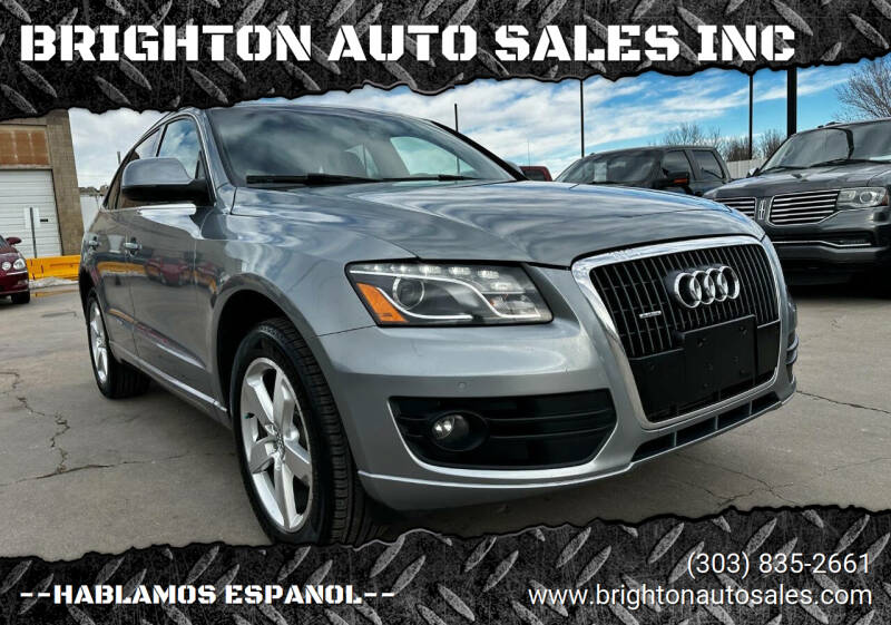 2011 Audi Q5 for sale at BRIGHTON AUTO SALES INC in Brighton CO