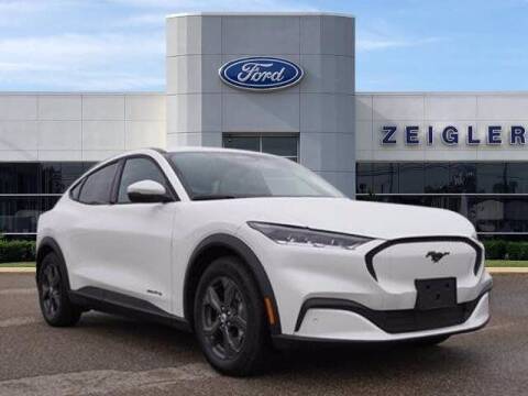 2021 Ford Mustang Mach-E for sale at Zeigler Ford of Plainwell - Jeff Bishop in Plainwell MI
