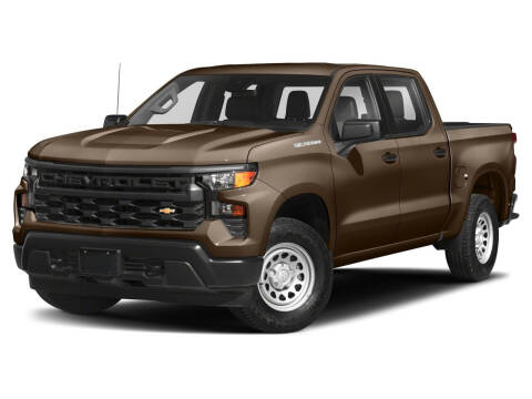 2023 Chevrolet Silverado 1500 for sale at Herman Jenkins Used Cars in Union City TN