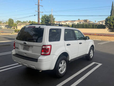 2010 Ford Escape XLT