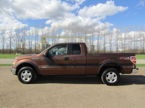 2012 Ford F-150 for sale at Elliott Auto Sales in Moorhead MN