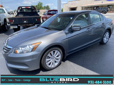 2011 Honda Accord for sale at Blue Bird Motors in Crossville TN