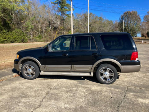 2004 Ford Expedition for sale at ALLEN JONES USED CARS INC in Steens MS