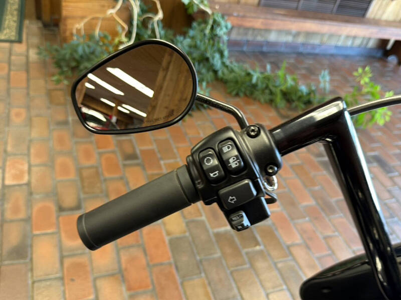 2021 Harley-Davidson sport glid