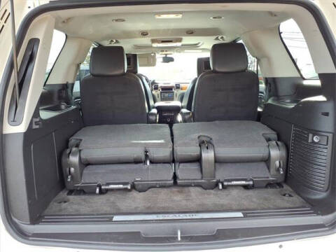 2013 Cadillac Escalade Platinum Edition