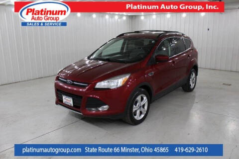 2014 Ford Escape for sale at Platinum Auto Group Inc. in Minster OH