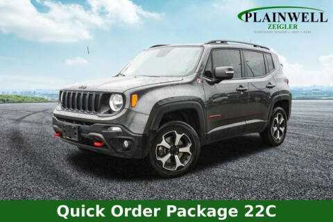 2020 Jeep Renegade for sale at Zeigler Ford of Plainwell- Jeff Bishop in Plainwell MI