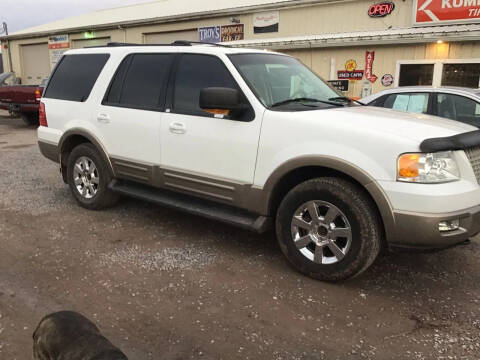 2003 Ford Expedition for sale at Troy's Auto Sales in Dornsife PA