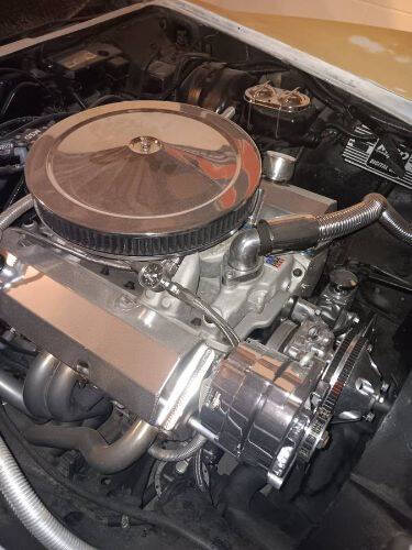 1981 Chevrolet Corvette