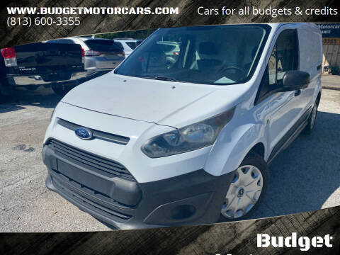 2014 Ford Transit Connect Cargo for sale at Budget Motorcars in Tampa FL