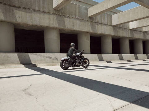 2020 Harley-Davidson Iron 883
