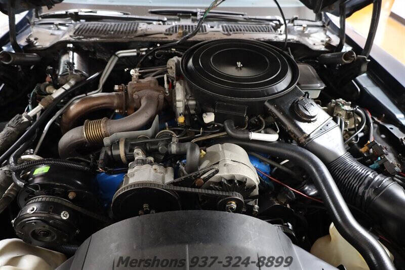 1981 Pontiac Firebird Trans Am
