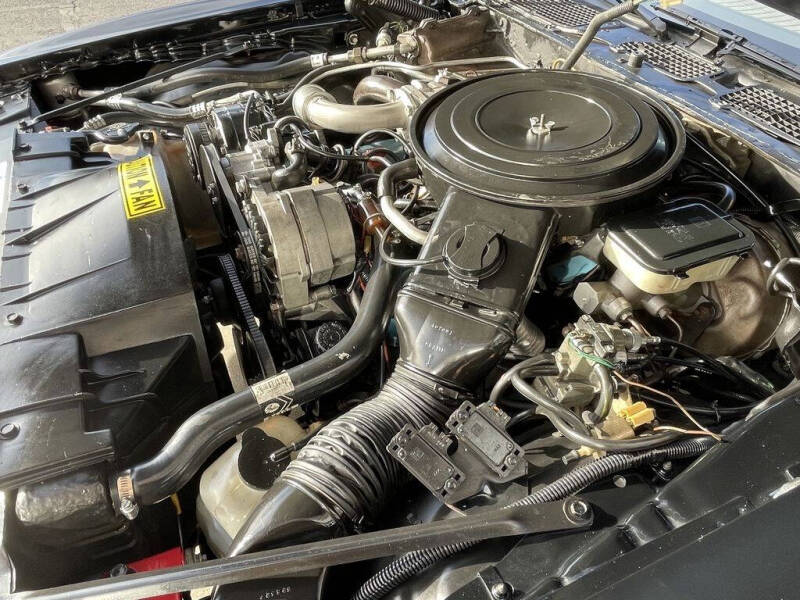 1981 Pontiac Firebird Trans Am