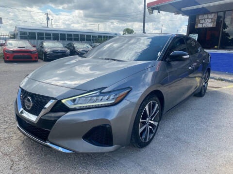 2019 Nissan Maxima for sale at Cow Boys Auto Sales LLC in Garland TX