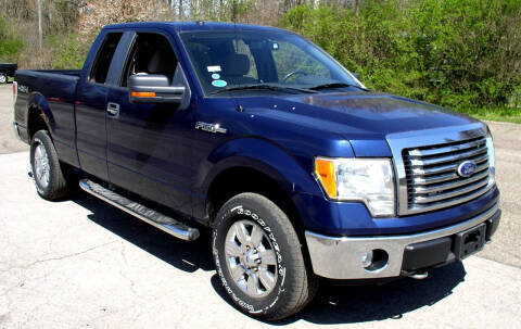 2010 Ford F-150 for sale at Angelo's Auto Sales in Lowellville OH