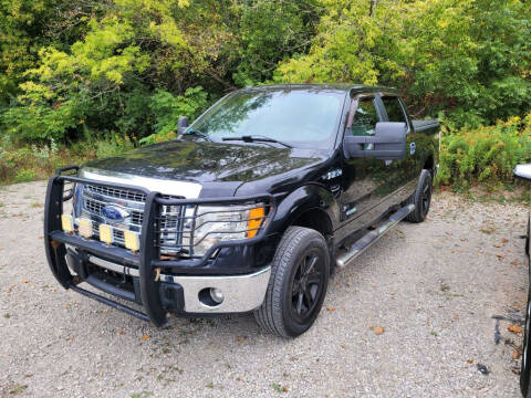 2014 Ford F-150 for sale at Clare Auto Sales, Inc. in Clare MI