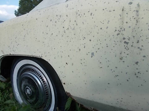 1976 Cadillac Eldorado