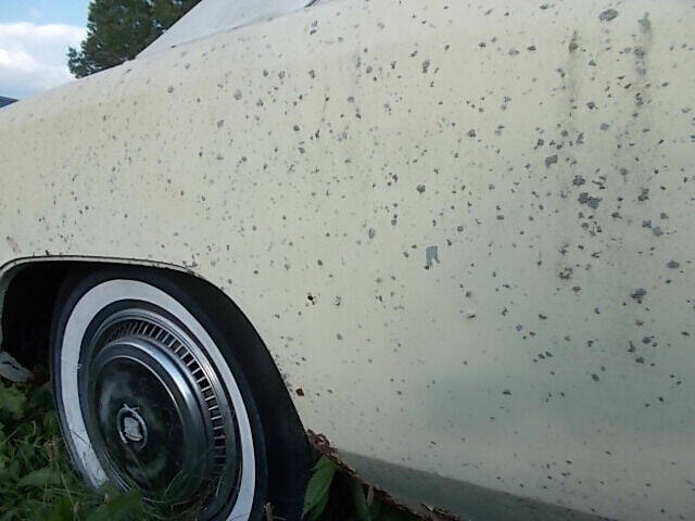 1976 Cadillac Eldorado