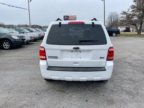 2010 Ford Escape XLT