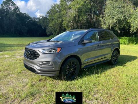 2023 Ford Edge for sale at TIMBERLAND FORD in Perry FL