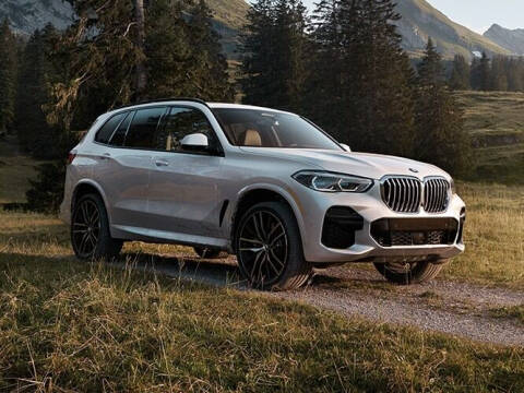 2023 BMW X5 for sale at XS Leasing in Brooklyn NY