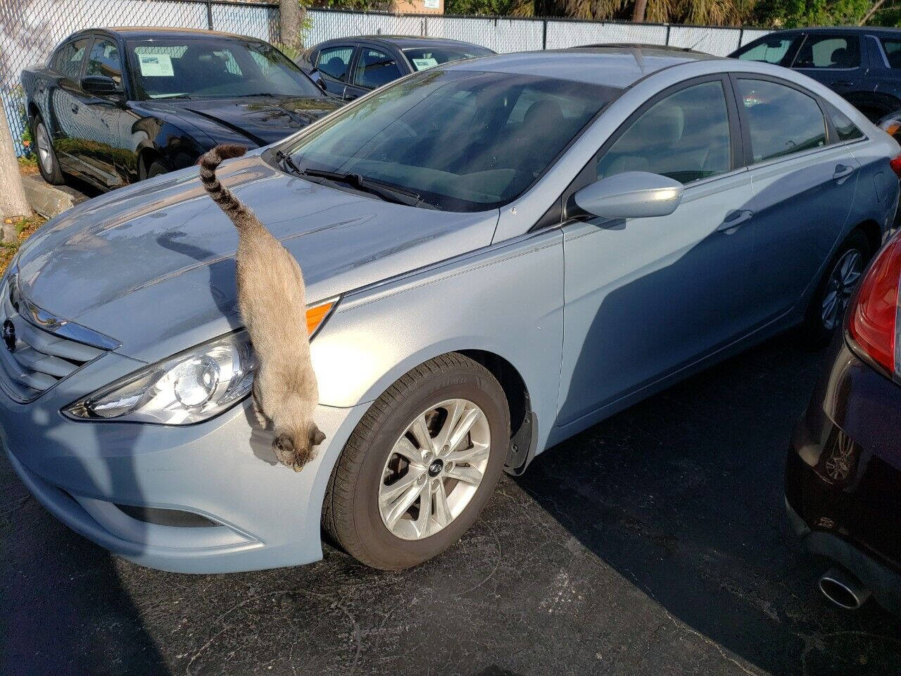2012 HYUNDAI Sonata Sedan - $6,995