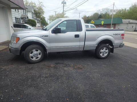 2010 Ford F-150 for sale at Maximum Auto Group II INC in Cortland OH